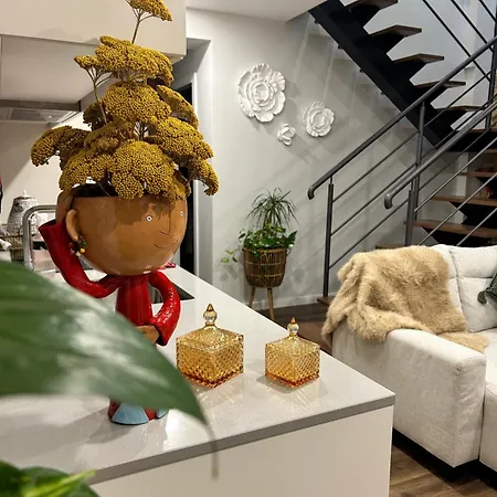 Casa Ao Lado No Centro Histórico De Apartamento Ponte de Lima